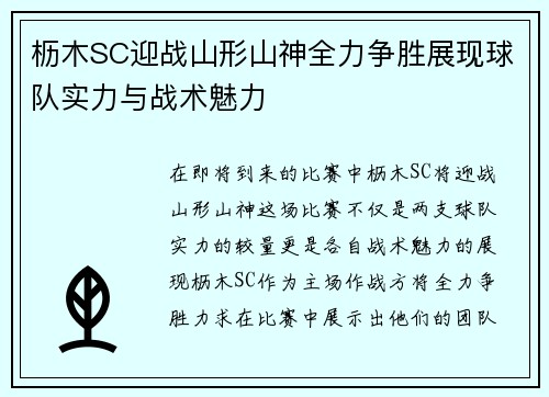 枥木SC迎战山形山神全力争胜展现球队实力与战术魅力